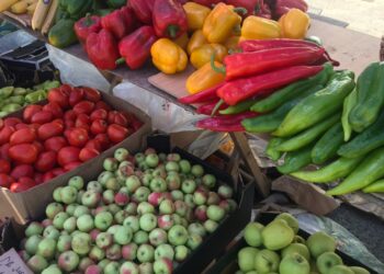 ШЫМКЕНТТЕ АУЫЛ ШАРУАШЫЛЫҒЫ ӨНІМДЕРІНІҢ ЖӘРМЕҢКЕСІ ӨТТІ