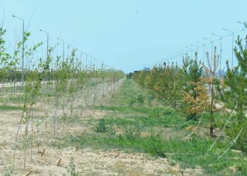 ҒАЛЫМДАР ТҮРКІСТАННЫҢ «ЖАСЫЛ АЙМАҒЫН» ҚҰРУ БОЙЫНША ӨЗ ҰСЫНЫСТАРЫН БІЛДІРДІ 