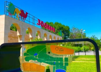 ШЫМКЕНТ ЗООБАҒЫНДАҒЫ ЖӨНДЕУ ЖҰМЫСТАРЫ 2023 ЖЫЛЫ АЯҚТАЛАДЫ