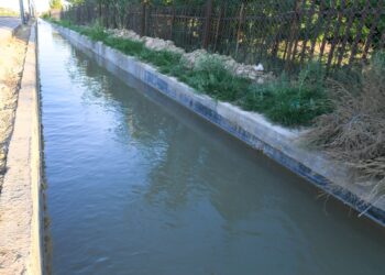 ТҮРКІСТАНДА СУ МӘСЕЛЕСІ САУАТТЫ ШЕШІЛУДЕ