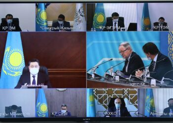 А. МАМИН МЕН ЕО ЕЛШІЛЕРІ «ЖАСЫЛ ЭКОНОМИКАНЫ» ДАМЫТУДАҒЫ ЫНТЫМАҚТАСТЫҚ МӘСЕЛЕЛЕРІН ТАЛҚЫЛАДЫ