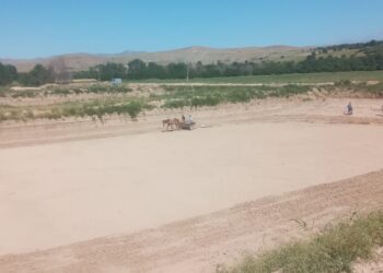 ТҮЛКІБАС АУДАНЫНДА ЖАСАНДЫ 7 СУ ТОҒАНЫНА 100 МЫҢ ДАНА БАЛЫҚ ШАБАҚТАРЫН ЖІБЕРУДІ ЖОСПАРЛАП ОТЫР