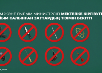 БІЛІМ ЖӘНЕ ҒЫЛЫМ МИНИСТРЛІГІ МЕКТЕПКЕ КІРГІЗУГЕ ТЫЙЫМ САЛЫНҒАН ЗАТТАРДЫҢ ТІЗІМІН БЕКІТТІ