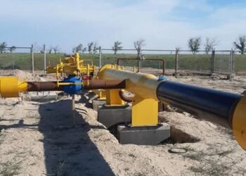 БИЫЛ 5 ЕЛДІМЕКЕН КӨГІЛДІР ОТЫНМЕН ҚАМТЫЛАДЫ