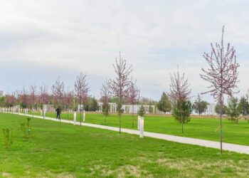 ӨМІРЗАҚ ШӨКЕЕВ: ТҮРКІСТАНДЫ КӨГАЛДАНДЫРУ ЖҮЙЕСІ ӨЗГЕРТІЛДІ