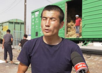 ҚҰРМЕТТІҢ ҚҰРМЕТКЕ ЛАЙЫҚ ІСІ