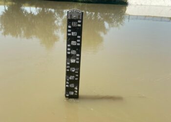 ӨЗБЕКСТАННАН МАҚТААРАЛ, ЖЕТІСАЙ АУДАНДАРЫНА КЕЛЕТІН СУ КӨЛЕМІ ҰЛҒАЙДЫ