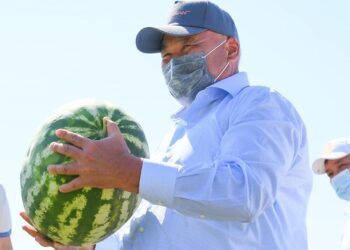 ТҮРКІСТАННЫҢ «ЖАСЫЛ БЕЛДЕУІ» АЛҒАШҚЫ ӨНІМІН БЕРДІ