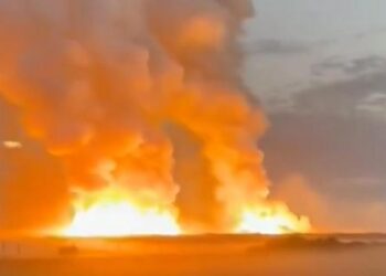 ЖАМБЫЛ ОБЛЫСЫНДАҒЫ ЖАРЫЛЫСТАН ҚАЗА ТАПҚАНДАР САНЫ 13-КЕ ЖЕТТІ