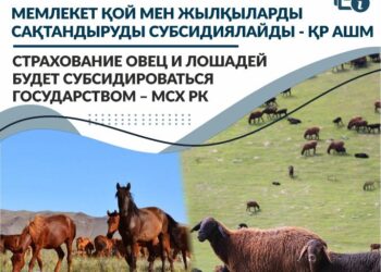 МЕМЛЕКЕТ ҚОЙ МЕН ЖЫЛҚЫЛАРДЫ САҚТАНДЫРУДЫ СУБСИДИЯЛАЙДЫ — ҚР АШМ
