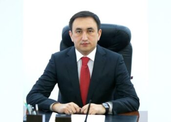 Қазақстанда жаңа қаржы вице-министрі тағайындалды