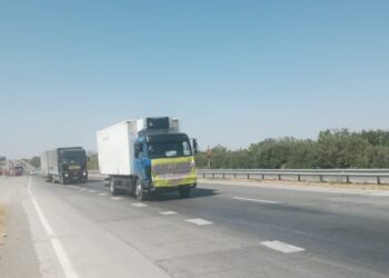 ТҮРКІСТАН ОБЛЫСЫНЫҢ АУЫЛ ШАРУАШЫЛЫҚ КЕРУЕНІ НҰР-СҰЛТАНҒА ЖОЛ ТАРТТЫ