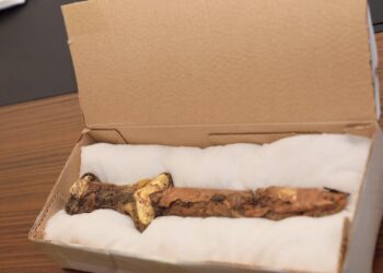 АҚТӨБЕ ОБЛЫСЫНДА САРМАТ ДӘУІРІНІҢ ҚОРЫМЫ ТАБЫЛДЫ