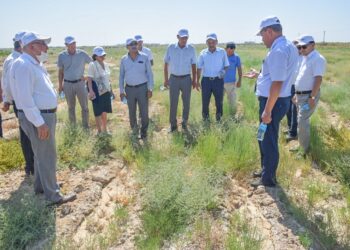 ТҮРКІСТАННЫҢ ЖАСЫЛ БЕЛДЕУІНЕ ҚАТЫСТЫ ҚАРАР ҚАБЫЛДАНДЫ