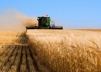 ЖЕМ-ШӨП ДАЙЫНДАУҒА ҚАЖЕТТІ ЖЕР КӨЛЕМІН КЕҢЕЙТКЕН ЖӨН — МЕМЛЕКЕТ БАСШЫСЫ