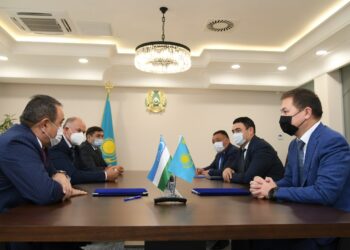 ТҮРКІСТАННЫҢ ОРМАН ШАРУАШЫЛЫҒЫН ДАМЫТУҒА ӨЗБЕКСТАН ҒАЛЫМДАРЫ АТСАЛЫСАДЫ