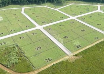 КЕЛЕС АУДАНЫНДА ШАРУАЛАРҒА 6 МЫҢ ГЕКТАРДАН АСА ЖЕР ЖАЛҒА БЕРІЛДІ