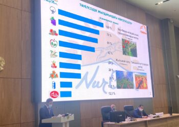 ХІІІ СЕССИЯДА ЕКІ АЗАМАТҚА МАНДАТ БЕРІЛДІ