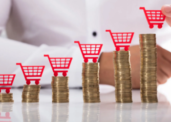 БАҒА ӨССЕ ҚАЙДА ШАҒЫМДАНУ КЕРЕК?