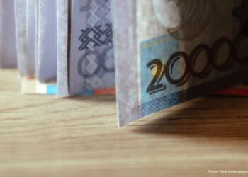 ЕЛІМІЗДЕ ТЖ КЕЗІНДЕ НЕСИЕ БОЙЫНША АЙЫППҰЛ МЕН ӨСІМПҰЛҒА ТЫЙЫМ САЛЫНДЫ