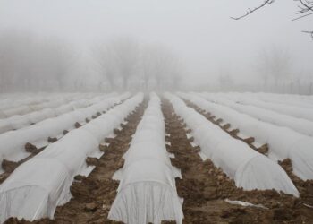 ҮЙ ІРГЕЛІК ЖЕРДЕН 2-3 МИЛЛИОН ТЕҢГЕ КӨЛЕМІНДЕ ПАЙДА ТАПҚАН