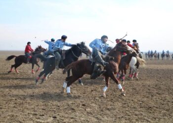 КӨКПАРДАН ТҮРКІСТАН ОБЛЫСЫНЫҢ МЫҚТЫЛАРЫ АНЫҚТАЛДЫ