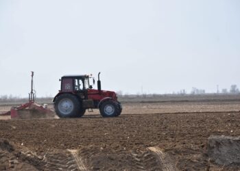 ЖЕТІСАЙДА МОЛ ӨНІМ АЛУДЫҢ ТӘСІЛІ МЕН МАҚТАНЫҢ ЖАҢА ТҰҚЫМЫ ТАНЫСТЫРЫЛДЫ