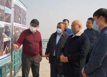 Ө. ШӨКЕЕВ КЕЛЕСТЕ БОЛЫП, ӨЗЕКТІ МӘСЕЛЕЛЕРДІ ШЕШУ ЖОЛЫН ҰСЫНДЫ