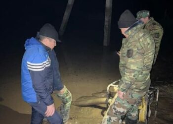 ТҮРКІСТАН ОБЛЫСЫНДА ТОЛАССЫЗ ЖАУҒАН ЖАҢБЫРДЫҢ САЛДАРЫМЕН КҮРЕС ЖАЛҒАСЫП ЖАТЫР