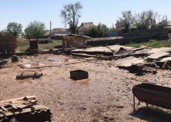 ШАНАҚ АУЫЛЫНДАҒЫ ЖАУЫННЫҢ САЛДАРЫ