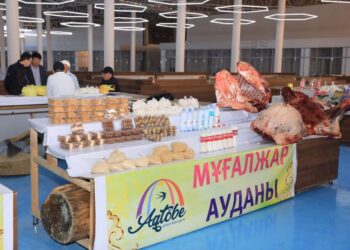 АҚТӨБЕ ӨНІМДЕРІ ТҮРКІСТАНДА