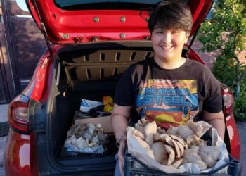 ОРДАБАСЫЛЫҚ ОҚУШЫ САҢЫРАУҚҰЛАҚ ӨСІРІП, КӘСІБІН БАСТАДЫ