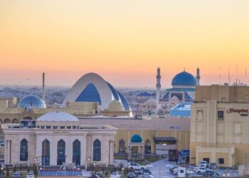 ТҮРКІСТАН ҚАЛАСЫН ДАМЫТУҒА ТАРТЫЛАТЫН ҚАРЖЫНЫҢ 77 ПАЙЫЗЫ – ЖЕКЕ ИНВЕСТИЦИЯЛАР