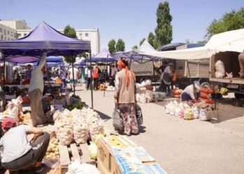 ЖӘРМЕҢКЕДЕ 100 ТОННАДАН АСТАМ ӨНІМ ҚОЙЫЛДЫ