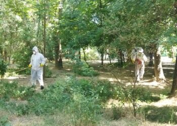 ДЕЗИНФЕКЦИЯ ЖҰМЫСТАРЫ ЖҮРГІЗІЛДІ