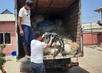 11,5 МЛН ТЕҢГЕДЕН АСТАМ ШЫҒЫН КЕЛТІРГЕН БРАКОНЬЕРЛЕР ТОБЫ ҰСТАЛДЫ