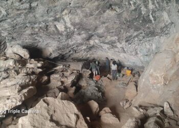 48 000 ЖЫЛ БҰРЫНҒЫ ТІРШІЛІК АНЫҚТАЛДЫ