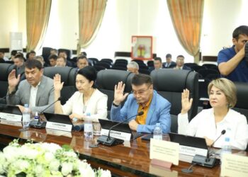 ШЫМКЕНТТЕ БЕСІНШІ АУДАН ҚҰРЫЛДЫ