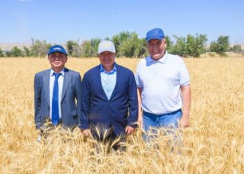 ЖАҢА СПОРТ КЕШЕНІ БОЙ КӨТЕРДІ