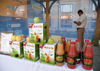 ТҮРКІСТАНДА «ҚАЗАҚСТАННЫҢ ҮЗДІК ТАУАРЫ» ӨҢІРЛІК КӨРМЕ-БАЙҚАУЫНЫҢ ЖЕҢІМПАЗДАРЫ АНЫҚТАЛДЫ