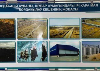 ОРДАБАСЫ АУДАНЫНДА 40 МЫҢ БАСҚА АРНАЛҒАН МАЛ БОРДАҚЫЛАУ КЕШЕНІ АШЫЛАДЫ