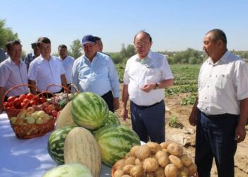 ҚР ПАРЛАМЕНТІНІҢ СЕНАТ ДЕПУТАТТАРЫ ШАРУАЛАРМЕН КЕЗДЕСТІ