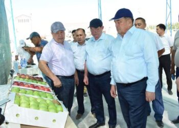 СЕНАТОРЛАР ҚАЗЫҒҰРТТЫҚ ШАРУАЛАРДЫҢ ЖҰМЫСТАРЫН ОҢ БАҒАЛАДЫ