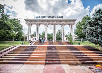 ДЕНДРОСАЯБАҚ БАСШЫЛЫҒЫНА КОНКУРС ЖАРИЯЛАНДЫ