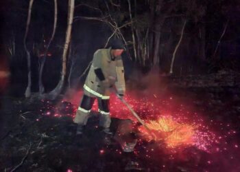 ЗЕРЕНДІДЕ 104 ГЕКТАР ОРМАН ӨРТЕНІП КЕТТІ