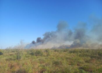 ТҮРКІСТАН ОБЛЫСЫНДА 8 САҒАТҚА СОЗЫЛҒАН ДАЛА ӨРТІ СӨНДІРІЛДІ