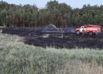 ҚАРАҒАНДЫ ОБЛЫСЫНДА 200 ГЕКТАРҒА ЖУЫҚ ЖЕР ӨРТЕНДІ