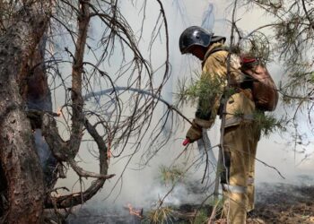 ҚОСТАНАЙ ОБЛЫСЫНДА ТӨТЕНШЕ ЖАҒДАЙ ЖАРИЯЛАНДЫ