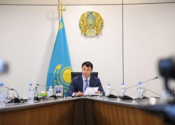 Д.САТЫБАЛДЫ ЖҰМЫССЫЗДЫҚ МӘСЕЛЕСІН ШЕШУДІҢ ЖОЛДАРЫН КӨРСЕТТІ