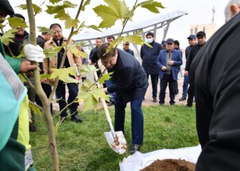 КӨПТЕН КҮТКЕН ЖОЛАЙРЫҚ ҚҰРЫЛЫСЫ АЯҚТАЛДЫ